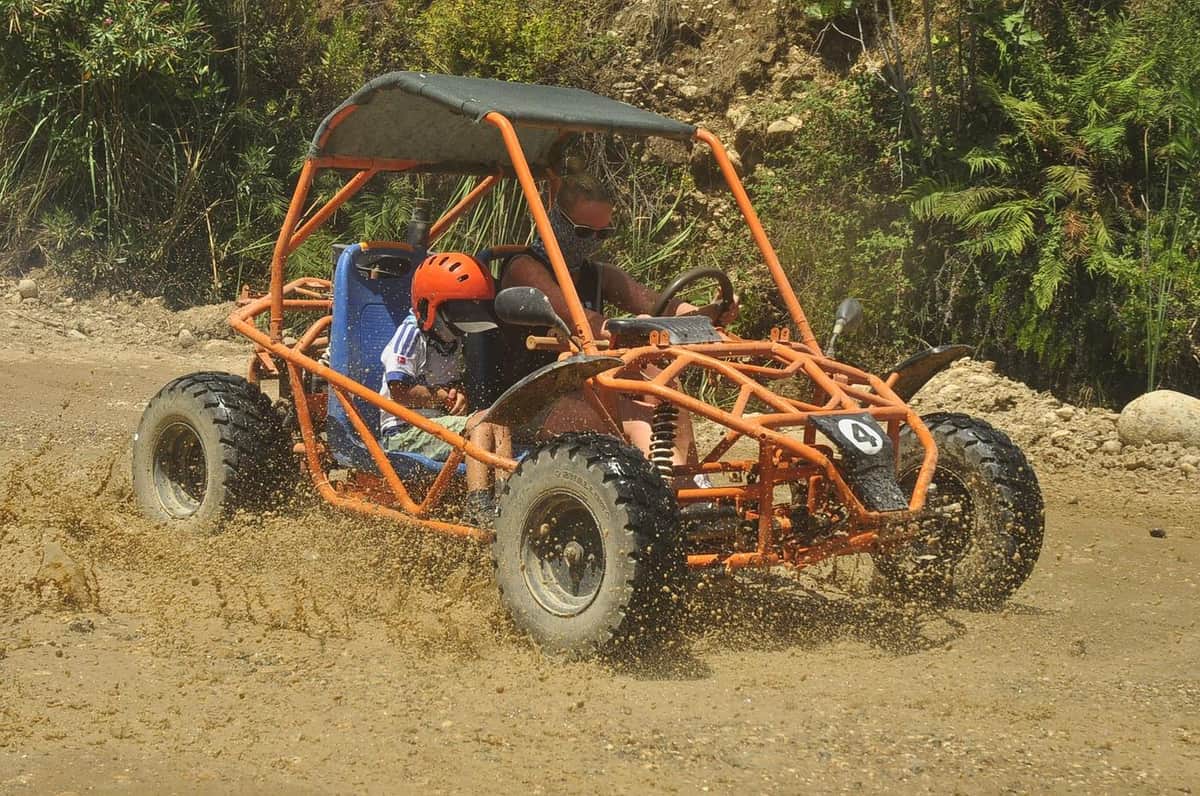 Buggy Safari