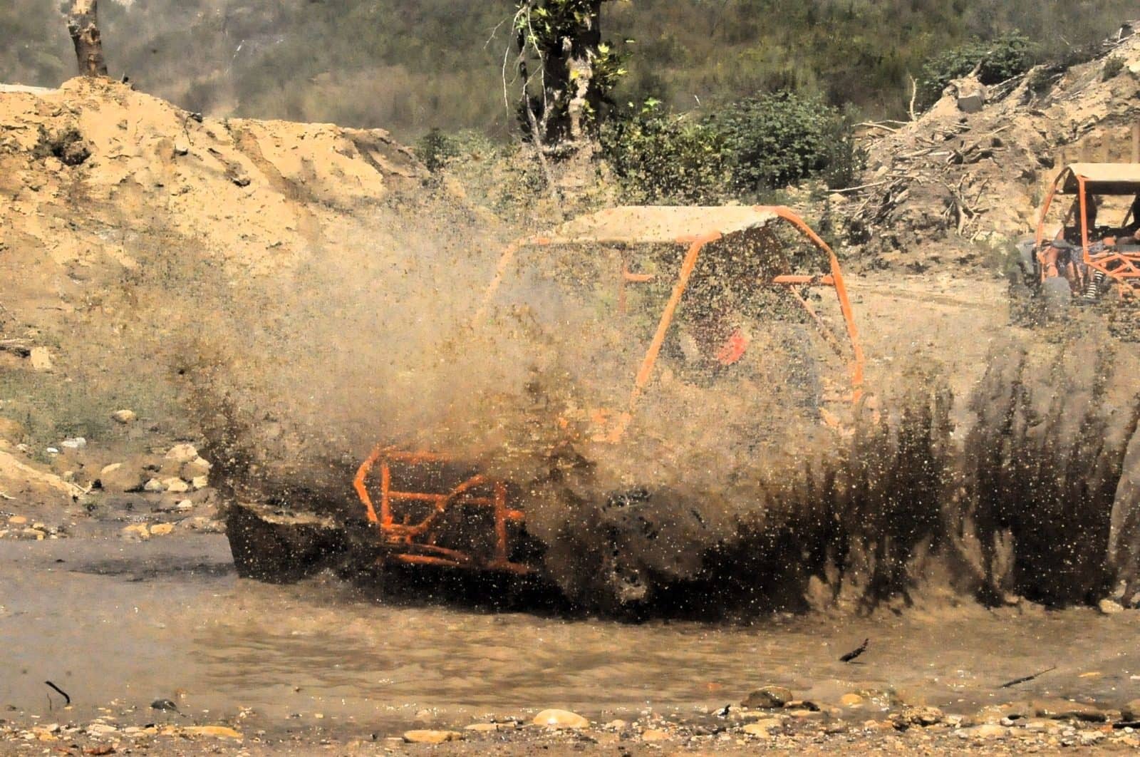 Family Buggy Safari 4