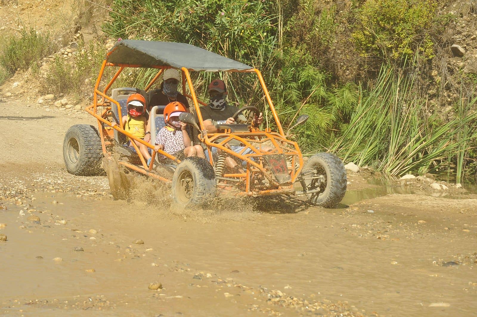 Family Buggy Safari
